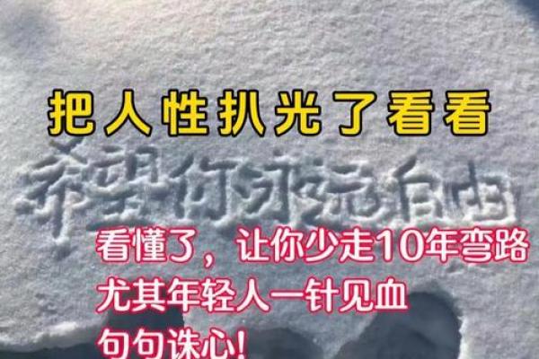 贱命男人，逆袭之路，你敢看吗？