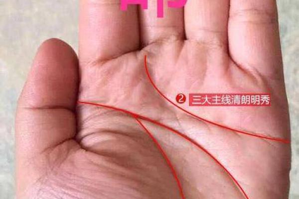 揭秘手相官印纹：掌握财运，开启成功之门