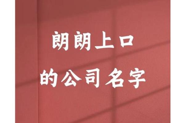 视频公司起名必看：这创意让你瞬间吸粉