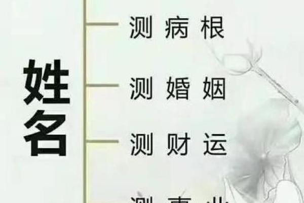 庞起名背后的哲学：如何为自己选个更有力量的名字
