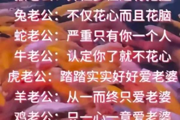 鸡年佳缘：属鸡的TA是你命中注定？