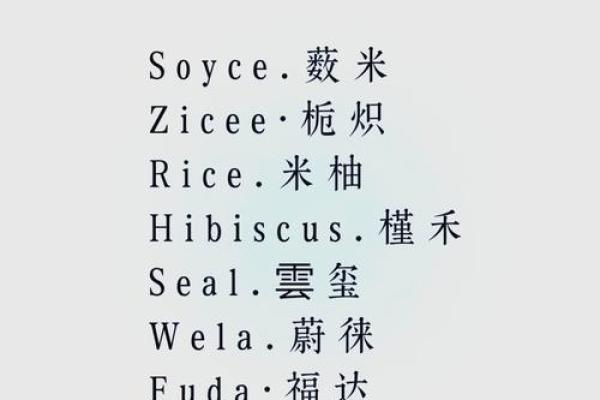 如何为公司取一个既有创意又易记的名字