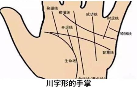 35岁以后手相揭秘：揭秘命运走向，掌握人生转折点