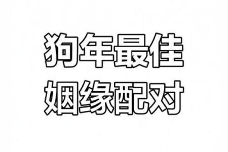 狗狗专属：揭秘最适合你的属相配对秘籍