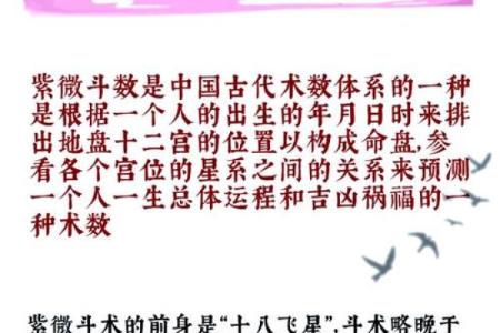 揭秘网络中国紫薇排盘的神奇预测能力