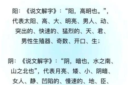八字派别解析：深入探讨五大流派的独特魅力