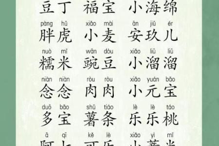 让圆顺起名带来好运的秘密