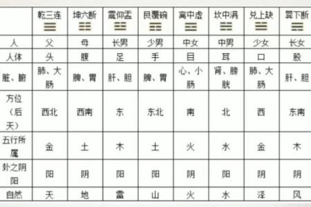 从零开始学六爻硬币排盘，轻松掌握占卜秘诀，改变命运