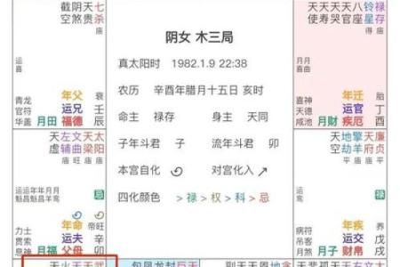 如何通过紫微斗数流月排盘软件轻松掌握每月运势变化