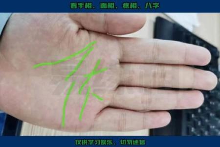 天生干活人的手相揭秘：揭秘那些勤劳双手背后的运势秘密