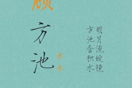 姓名背后的神秘力量：揭秘起名命书的艺术
