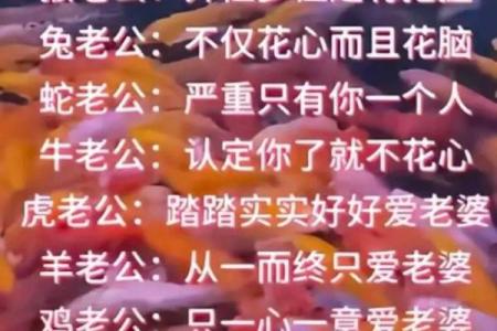 鸡年佳缘：属鸡的TA是你命中注定？