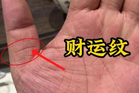 揭秘手相中的声望线，一招看穿你的运势与成就
