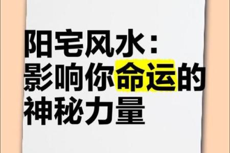 命带五鬼：揭秘命运的神秘力量