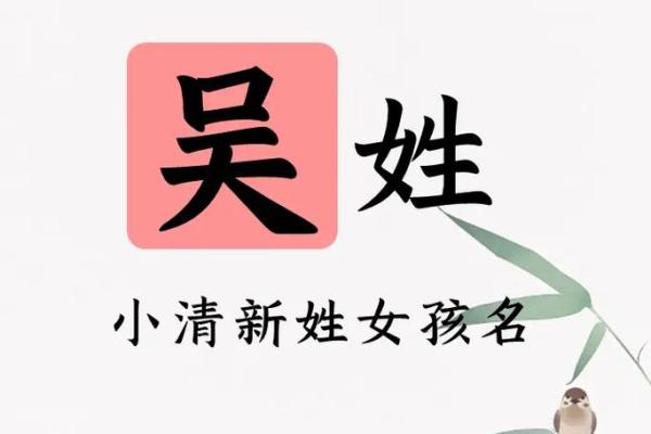从古到今，吴姓取名的经典与创新灵感