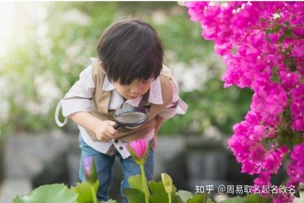 知乎起名技巧大揭秘，让你的账号瞬间吸引关注