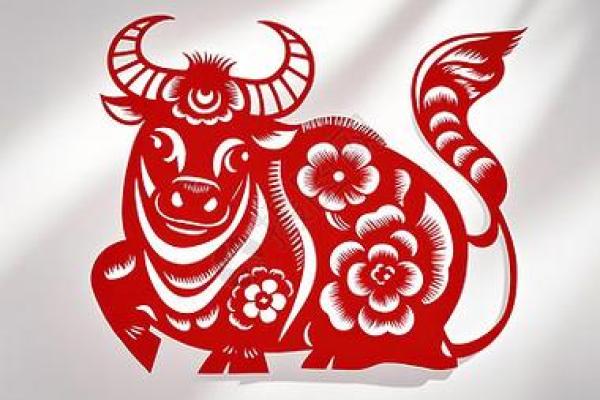 兔年遇牛年：天生一对还是格格不入？