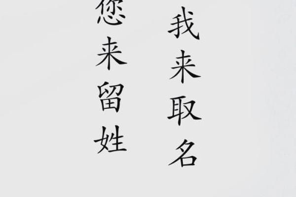 魏姓起名推荐：从音韵到寓意的完美搭配
