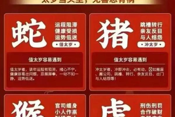鸡鸣惊蛇，缘定三生，生肖配对新潮流