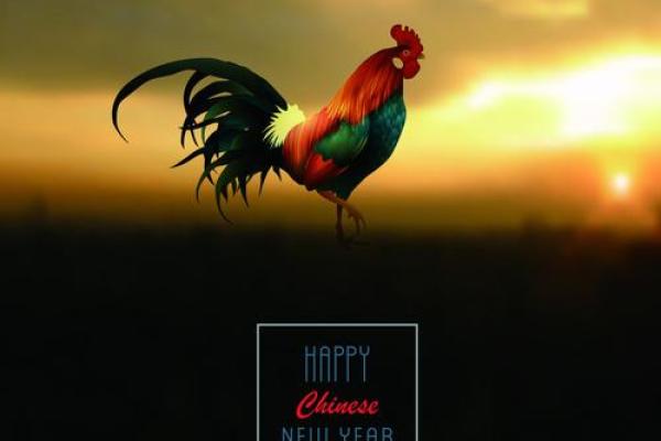 鸡年佳人，最佳伴侣速配指南