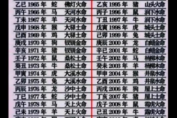 鼠年运势揭秘：金命人的命运轨迹大解析