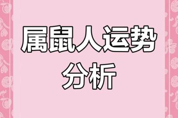鼠年运势揭秘：金命人的命运轨迹大解析
