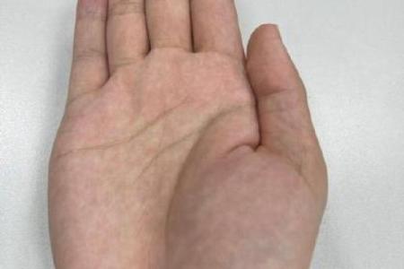揭秘手相界传奇人物：谁才是真正的大师？