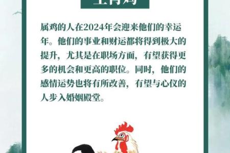 鸡年好运，事业腾飞