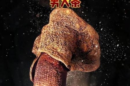 男人火命：揭秘如何点燃命运之火