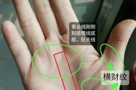 揭秘手相之谜：女生虎吞龙手相，揭秘你的运势与魅力
