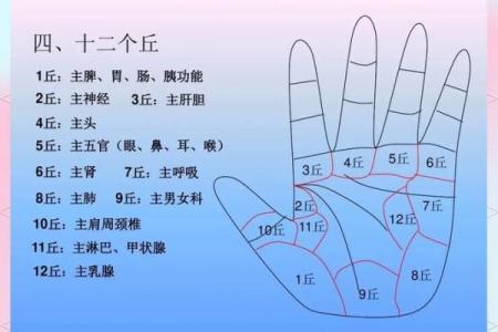 揭秘手相太阴丘事业线：财运亨通的秘密通道