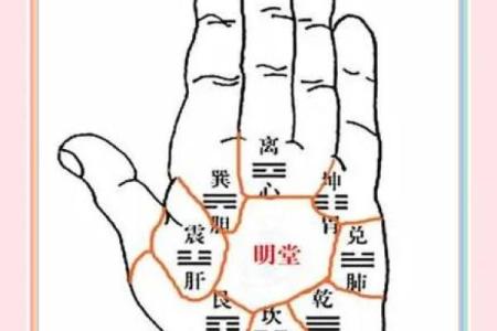 手相揭秘：揭秘手相中的儿子命运之谜