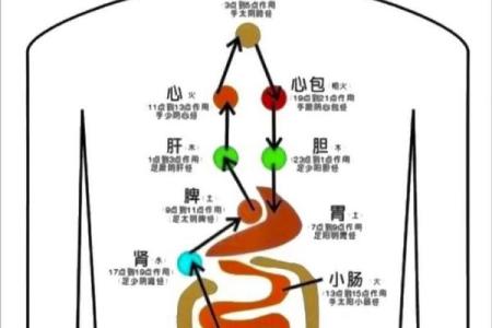 探秘天干如何影响五脏健康
