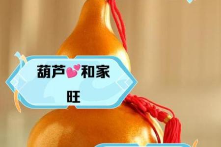最有创意的葫芦名字大全，灵感无限