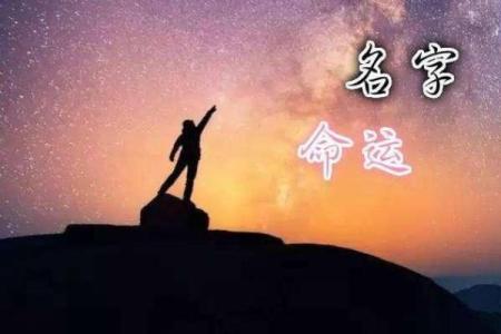 冬月宝宝，揭秘你的专属命运密码