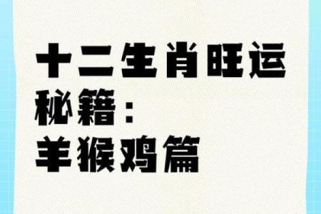 生肖风水宝地：打造家居旺运秘籍