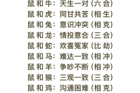 狗狗最佳伴侣：属相相配，快乐相伴