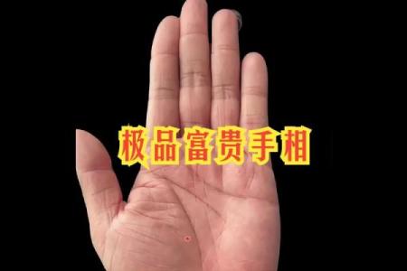 揭秘天生富贵手相，让你财运亨通的秘密