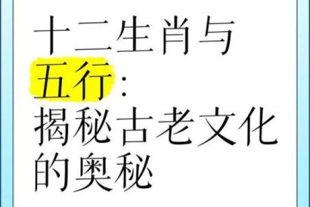 日本有生肖吗？揭秘日本传统生肖文化