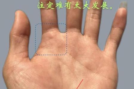 苏民峰手相秘籍：揭秘手相中的运势密码