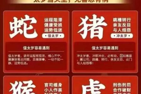 鸡鸣惊蛇，缘定三生，生肖配对新潮流