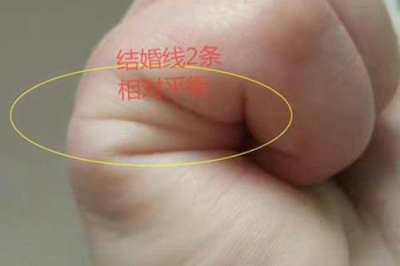 揭秘无纹手相的神秘魅力：掌握命运的秘密钥匙