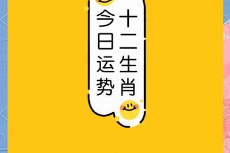道傍筑室，生肖运势揭秘