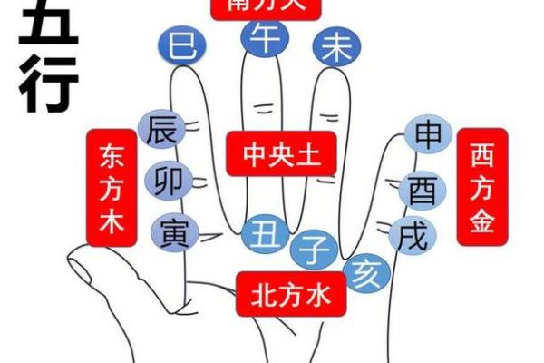掌上看天干地支，命运如何逆转