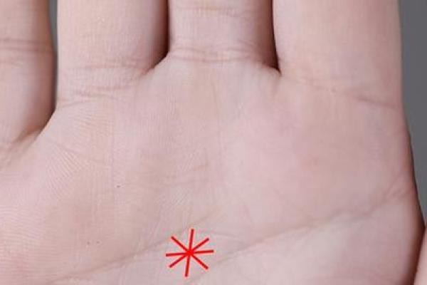 一掌在手，财运亨通——揭秘八大丘手相的秘密