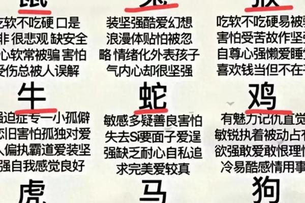 搭配指南：女鼠男虎，相配还是相克？