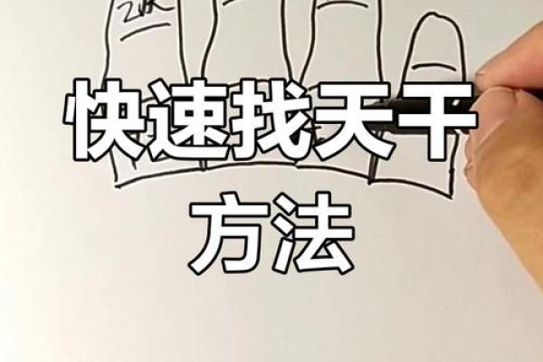 揭秘天干与主动的关系，如何利用天干提升个人效率