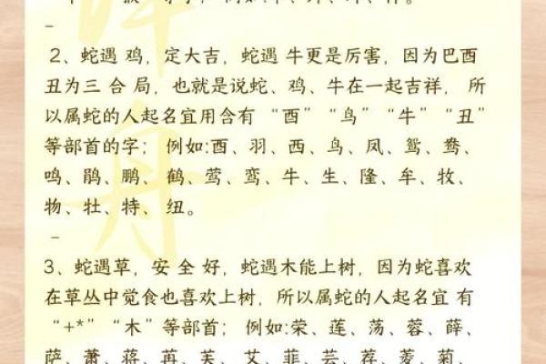 最佳宝宝起名指南