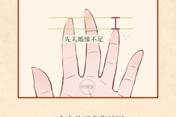 揭秘手相奥秘：一招看透命运，快来测测你的手相吧