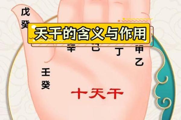 天干为何是十？解读中国传统命理的源起